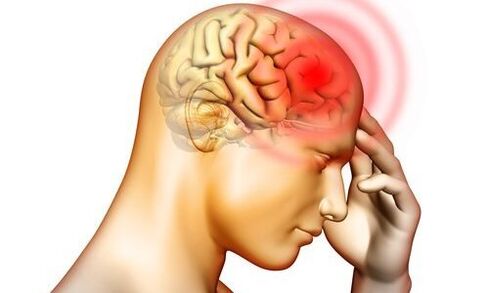 endoparasites in the human brain