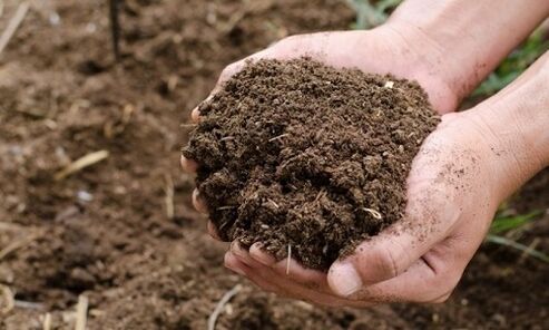 soil as a source of human infection with parasites