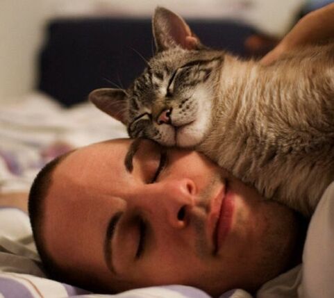 sleeping with a cat as a cause of parasite infection