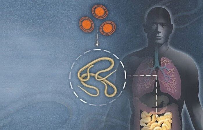 Parasites in the human gut